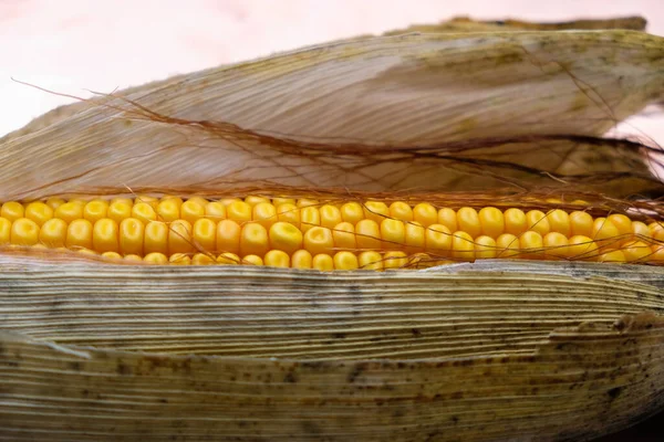 Кукурузный Початок Сухими Листьями Чистая Органическая Кукуруза — стоковое фото