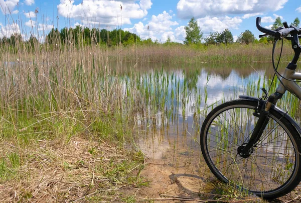 Koło Rowerowe Tle Dzikiej Przyrody Opuszczone Jezioro Leśne Ukrainie — Zdjęcie stockowe