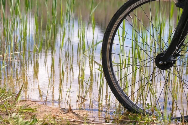 Koło Rowerowe Tle Dzikiej Przyrody Woda Trzcina Refleksja — Zdjęcie stockowe