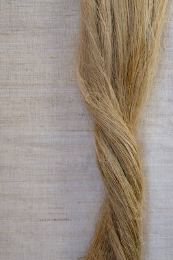 Doğal renksiz keten lifleri ya da keten rengi arka planda kenevir. Doğal liflere olan talep artıyor. Uzayı kopyala Dikey resim.