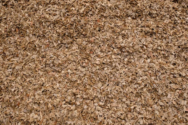 Mulch Wood Fichas Madeira Textura Lascas Madeira Decorativa Material Natural — Fotografia de Stock