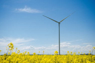 Sarı kolza tohumu tarlasında rüzgar türbini, mavi gökyüzünün arka planı ve güzel beyaz bulutlar, alternatif enerji kaynağı.