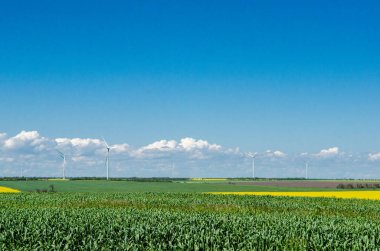 Sarı kolza tohumu tarlasında rüzgar tarlası, mavi gökyüzünün arka planı ve güzel beyaz bulutlar, alternatif enerji kaynağı.
