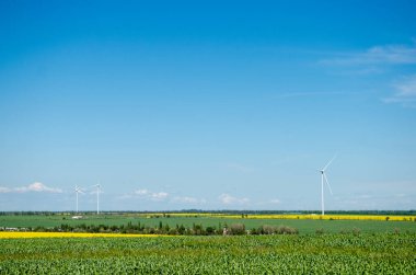 Sarı kolza tohumu tarlasında rüzgar tarlası, mavi gökyüzünün arka planı ve güzel beyaz bulutlar, alternatif enerji kaynağı.