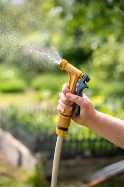 Bahçede su püskürtücüsü olan bir hortumu tutan kadın el, su püskürtüyor.