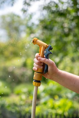 Bahçede su püskürtücüsü olan bir hortumu tutan kadın el, su püskürtüyor.