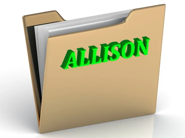 ALLISON - bright green letters on gold paperwork folder — стоковое фото