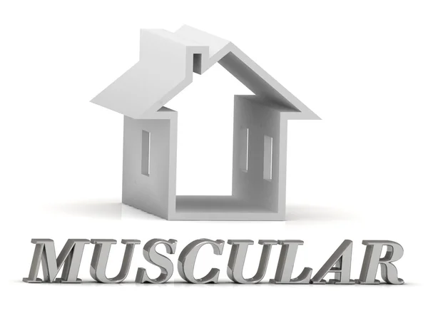MUSCULAR- inscripción de letras de plata y casa blanca —  Fotos de Stock