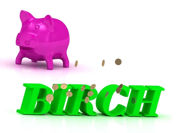 BIRCH brillante de letras verdes y rosa Piggy —  Fotos de Stock