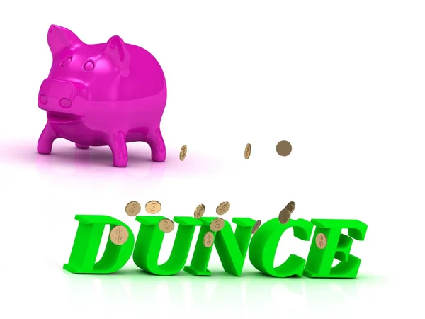 DUNCE bright of green letters and rose Piggy — Stock Photo, Image