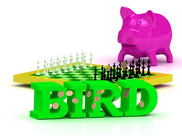 BIRD palabra brillante, dinero, cerdito rosa, ajedrez amarillo —  Fotos de Stock