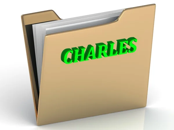 CHARLES - bright green letters on gold paperwork folder — стоковое фото