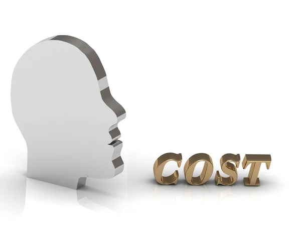 COST bright color letters and silver head mind — Stock Photo, Image