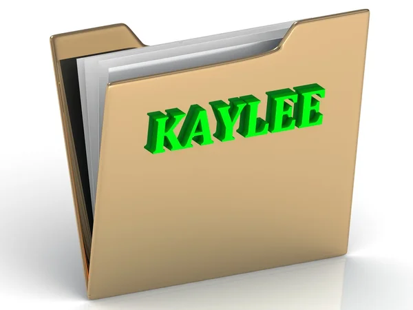 Kajak - leuchtend grüne Buchstaben auf Goldpapiermappe — Stockfoto