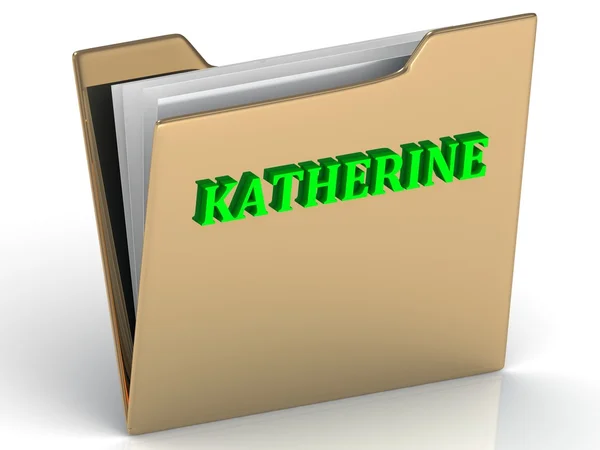 KATHERINE- ярко-зеленые буквы на папке с золотыми бумагами — стоковое фото