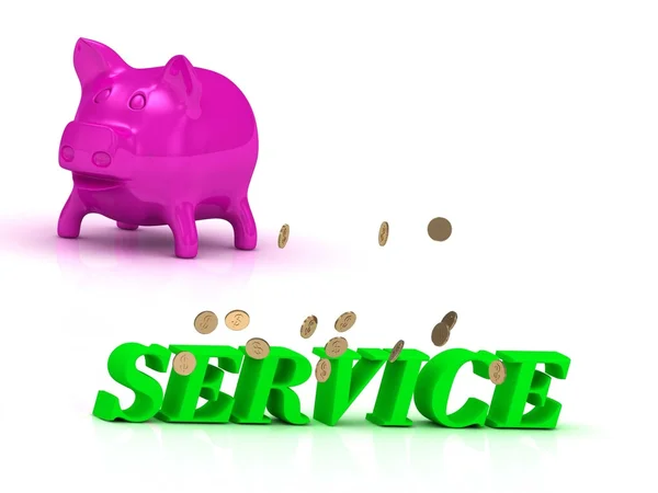 SERVICE Name and Family bright word, pink piggy — Stock Photo, Image