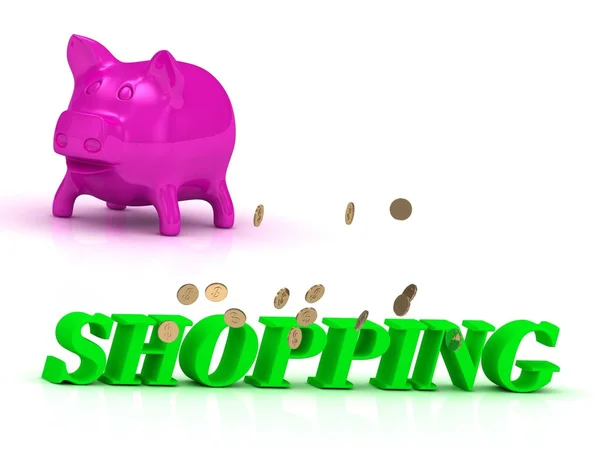 SHOPPING Name and Family bright word, pink piggy — Stock Photo, Image