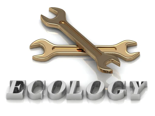 Ekologie nápis kovových písmen a 2 klíče — Stock fotografie
