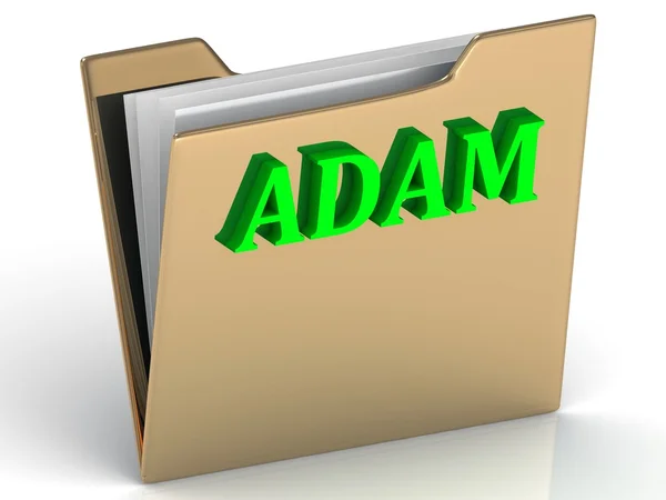 ADAM- Nom et famille lettres lumineuses sur or — Photo