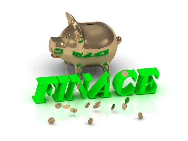 FINACE- inscrição de letras verdes e ouro Piggy — Fotografia de Stock