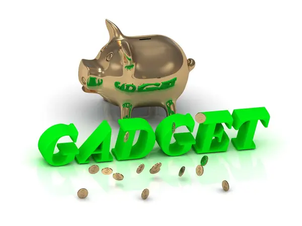 GADGET- inscription of green letters and gold Piggy — Stock Photo, Image