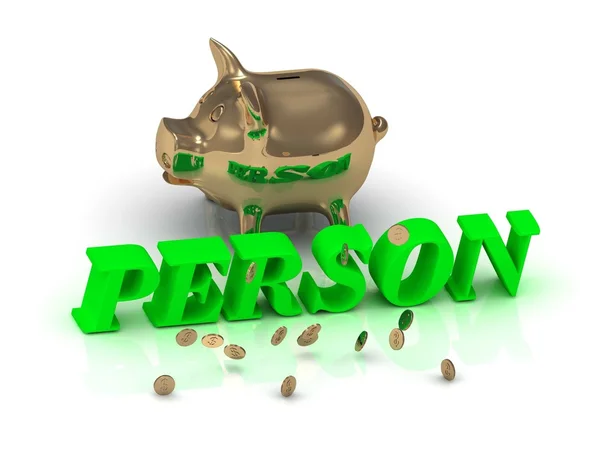 PERSON- inscription of green letters and gold Piggy — Stock Photo, Image