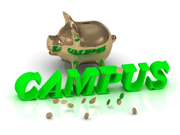 CAMPUS- inscripción de letras verdes brillantes y oro —  Fotos de Stock