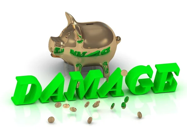 DAMAGE- inscrição de letras verdes e ouro Piggy — Fotografia de Stock