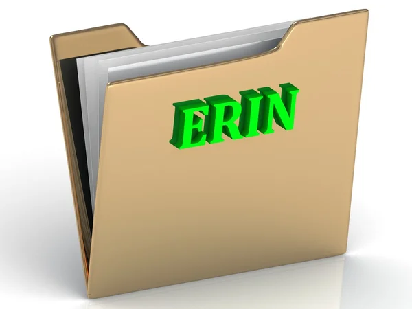 Erin- leuchtend grüne Buchstaben auf Goldpapiermappe — Stockfoto