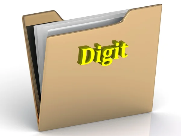 Digit- яркие буквы цвета на золотой папке — стоковое фото