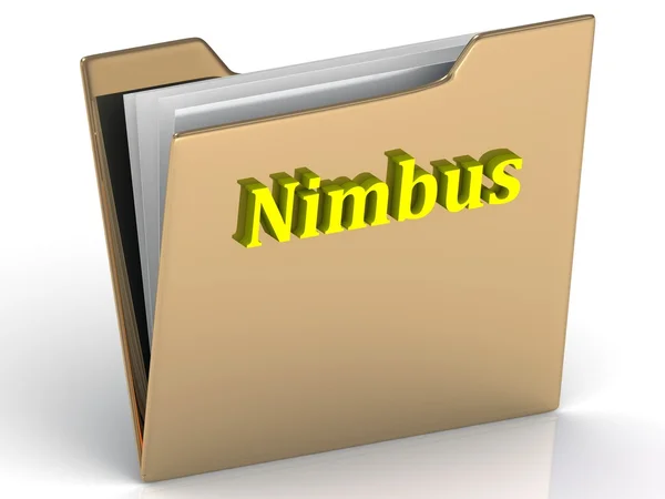 Nimbus- яркие буквы цвета на золотой папке — стоковое фото