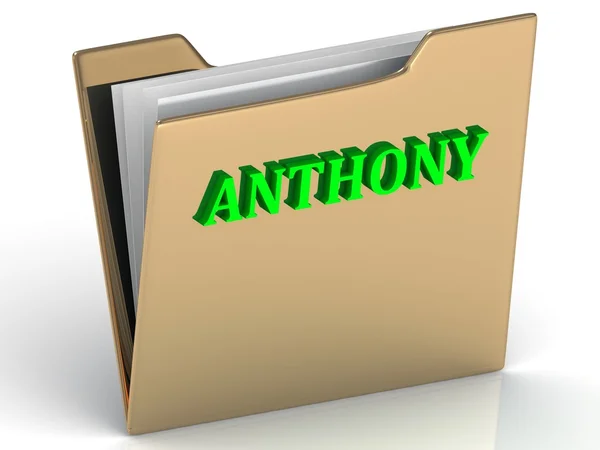 ANTHONY - bright green letters on gold paperwork folder — стоковое фото