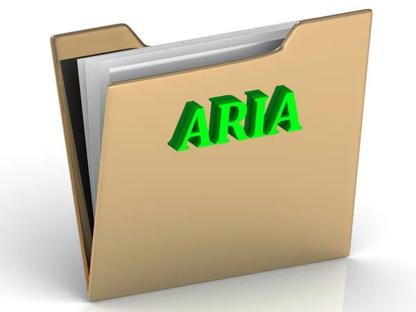 ARIA- bright green letters on gold paperwork folder — Stock Photo, Image