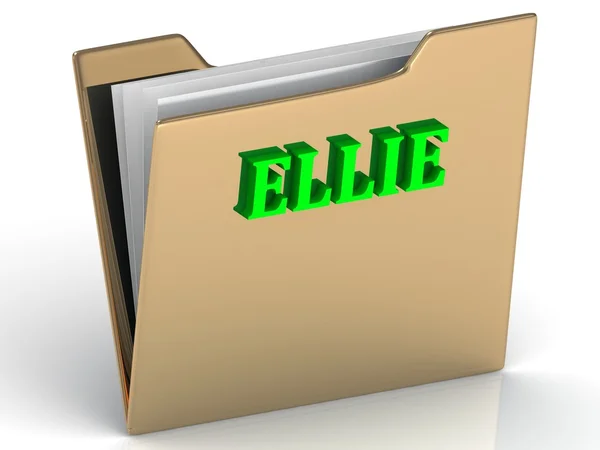 ELLIE- bright green letters on gold paperwork folder — Stock Photo, Image