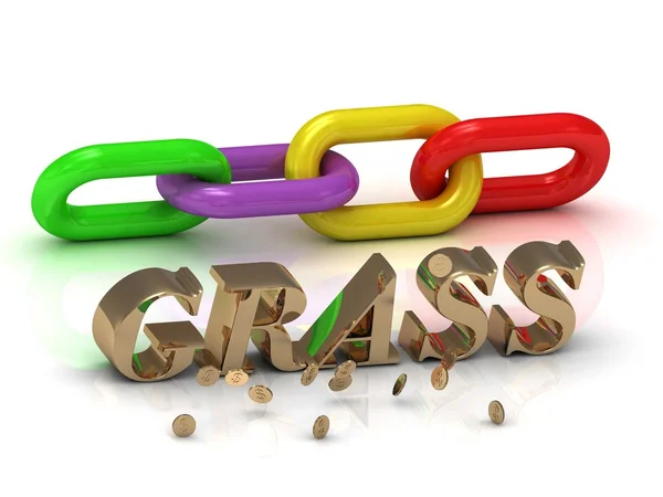 GRASS- inscription of gold letters and green, yellow, red section of the chain — Stock Photo, Image