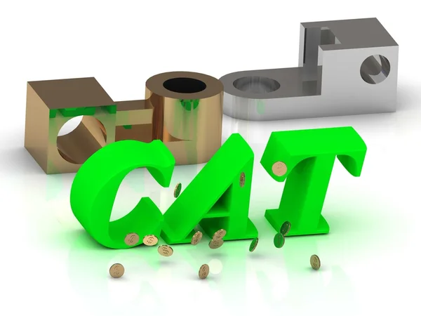 CAT- words of color letters and silver details — Stock Photo, Image