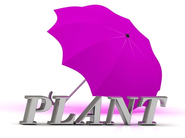 PLANT inscription of silver letters and umbrella — Stock Photo, Image