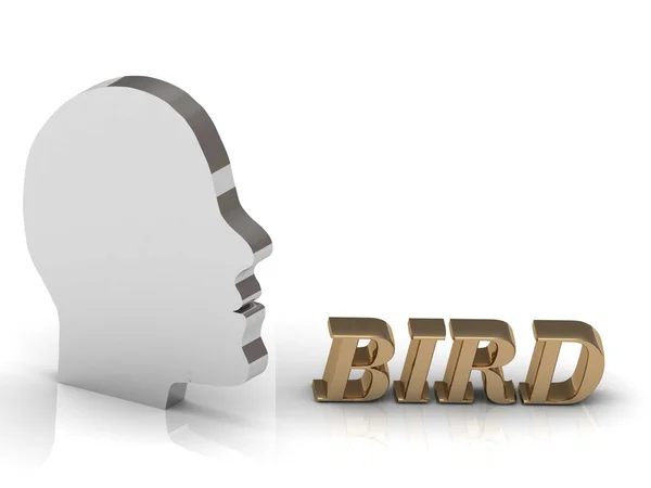 BIRD letras de cor brilhante e cabeça de prata mente — Fotografia de Stock