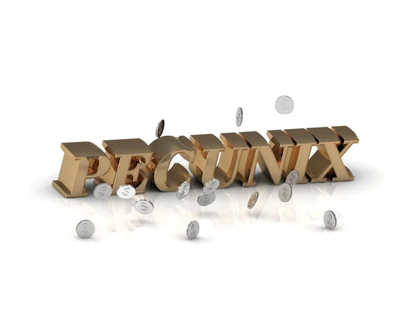 PECUNIX - надпись золотыми буквами на белом — стоковое фото