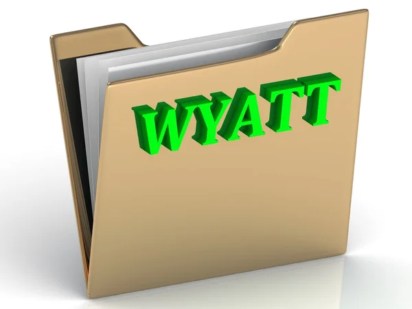 WYATT- bright green letters on gold paperwork folder — Stock Photo, Image