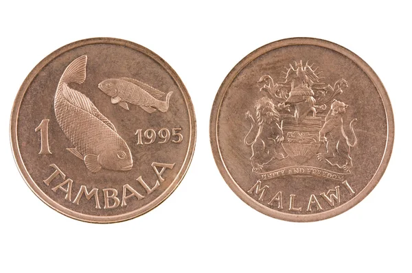 Mynt av malawi. — Stockfoto