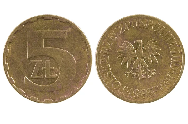 硬币 5 兹罗提。波兰 — 图库照片