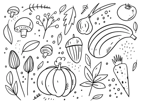 Elementos do outono. Folhas e elementos alimentares. Cor preta estilo dos desenhos animados. — Vetor de Stock
