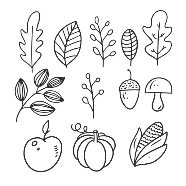 Calabaza, manzana, champiñones, nueces y hojas. Ilustración de vector de color negro. — Vector de stock