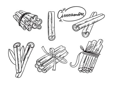 Tarçın el çizimi vektör çizimi. İşleme biçimi.