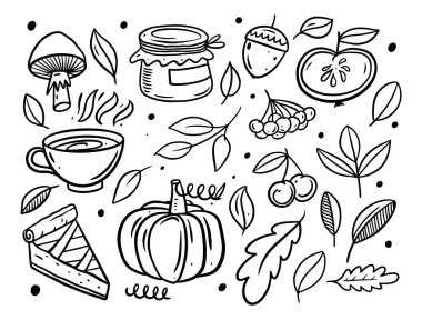 El çizimi siyah sonbahar karalama elementleri ayarlandı. Çizgi sanat vektörü illüstrasyonu.