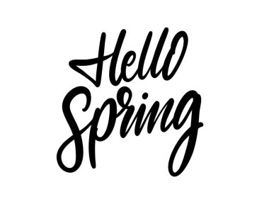 Hand drawn lettering illustration with the phrase Hello spring in elegant script style. Seasonal typography celebrating blooming flowers fresh nature and joyful spring atmosphere.