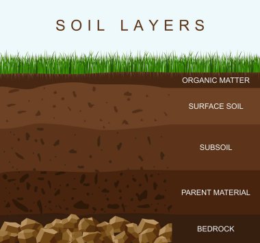 Toprak katmanları toprak dokusunu, taşları gösteriyor. Üzerinde yeşil çimenler olan bir yer. Mineral parçacıkları, kum, humus ve taşlar, doğal gübre. Jeoloji bilgi grafikleri. Çocuklar için eğitim. Vektör illüstrasyonu