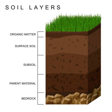Toprak katmanları toprak dokusunu, taşları gösteriyor. Üzerinde yeşil çimenler olan bir yer. Mineral parçacıkları, kum, humus ve taşlar, doğal gübre. Jeoloji bilgi grafikleri. Çocuklar için eğitim. Vektör illüstrasyonu