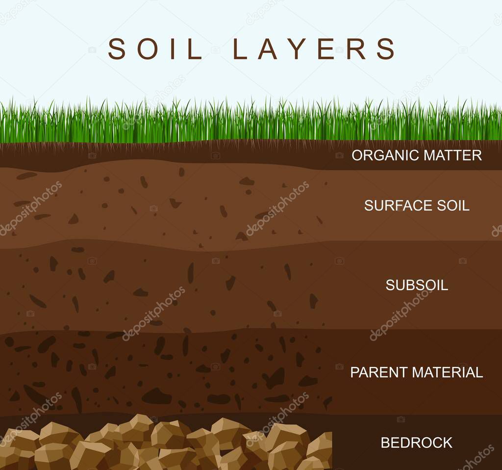 Soil layers diagram earth texture, stones. Ground with green grass on top. Mineral particles, sand, humus and stones, natural fertilizer. Geology infographics. Education for kids. Vector illustration